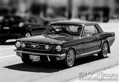 Mustang-B&W